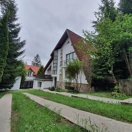 Vila Sorina Poiana Brasov Eksteriør bilde