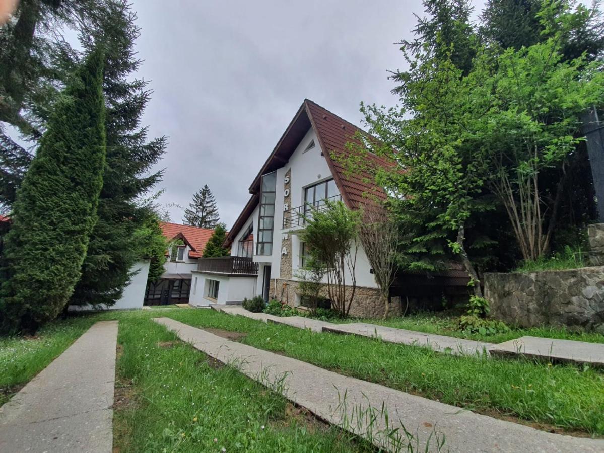 Vila Sorina Poiana Brasov Eksteriør bilde
